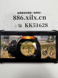 《羊了个羊》IOS手机速通教程